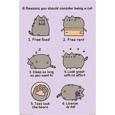 PUSHEEN - Reasons To Be A Cat - Poster 61 x 91cm