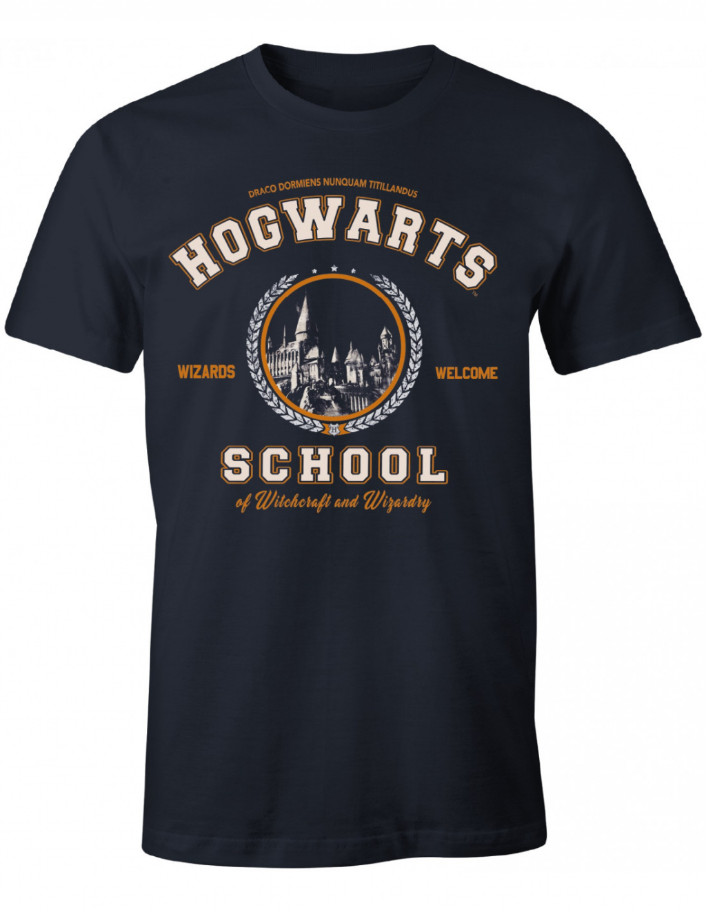 HARRY POTTER - Ecole de Poudlard - T-Shirt Homme (XXL)