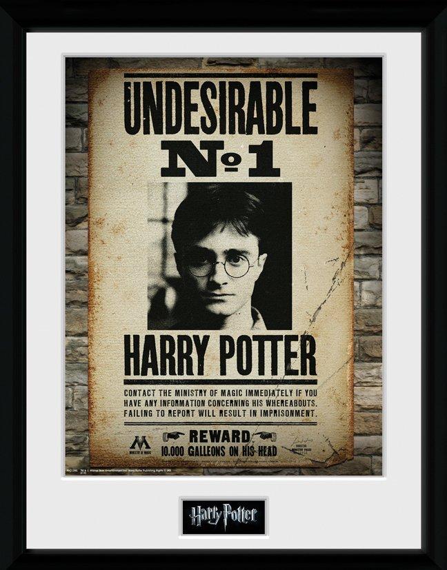 HARRY POTTER - Collector Print 30X40 - Undesirable No1