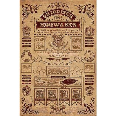 HARRY POTTER - Quidditch at Hogwarts - Poster 61 x 91cm