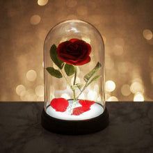 Charger l&#39;image dans la galerie, DISNEY - Lampe Rose Enchantée
