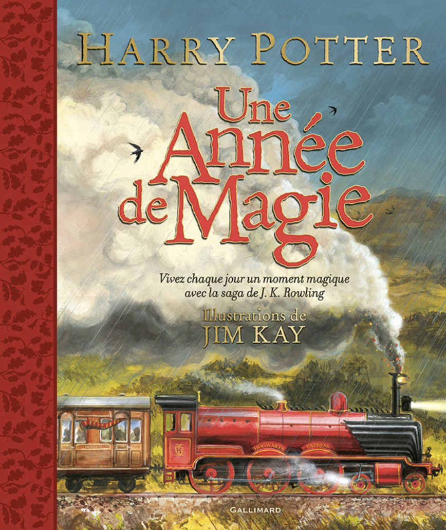HARRY POTTER - Une année de magie